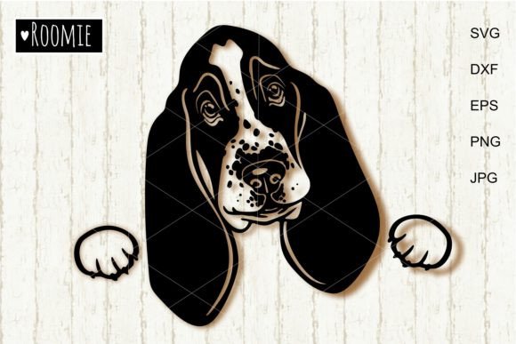 Basset Hound