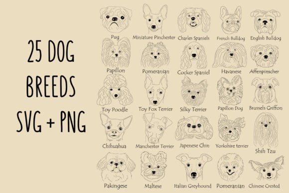 Dog Breed Svg Bundle