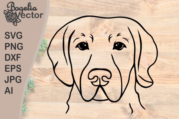 Labrador Retriever Face